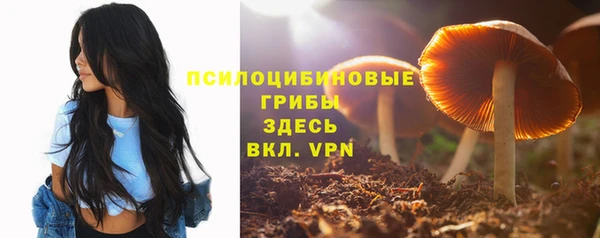 стаф Осташков